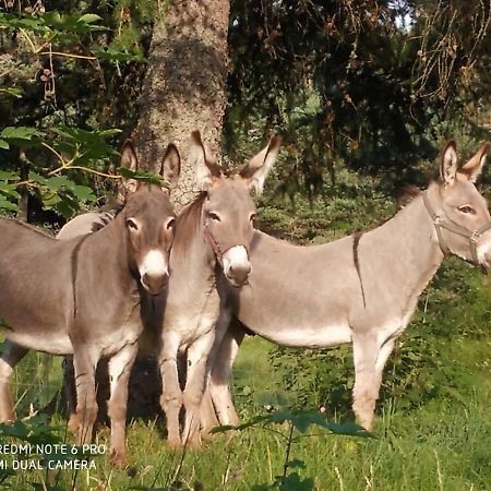 ReSource Le Chambon-sur-Lignon Exterior foto